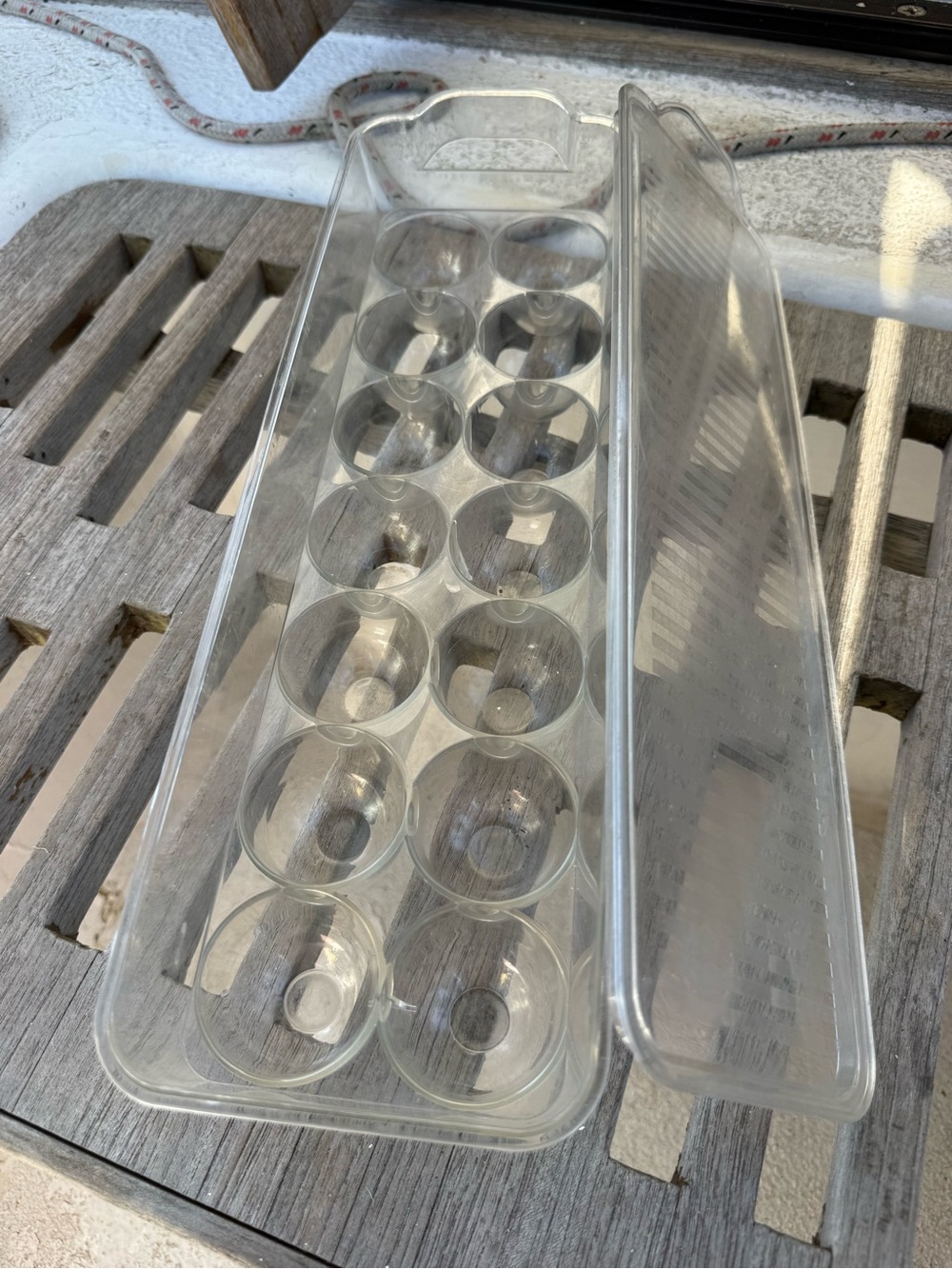 Clear Plastic Egg Storage Container with Lid
